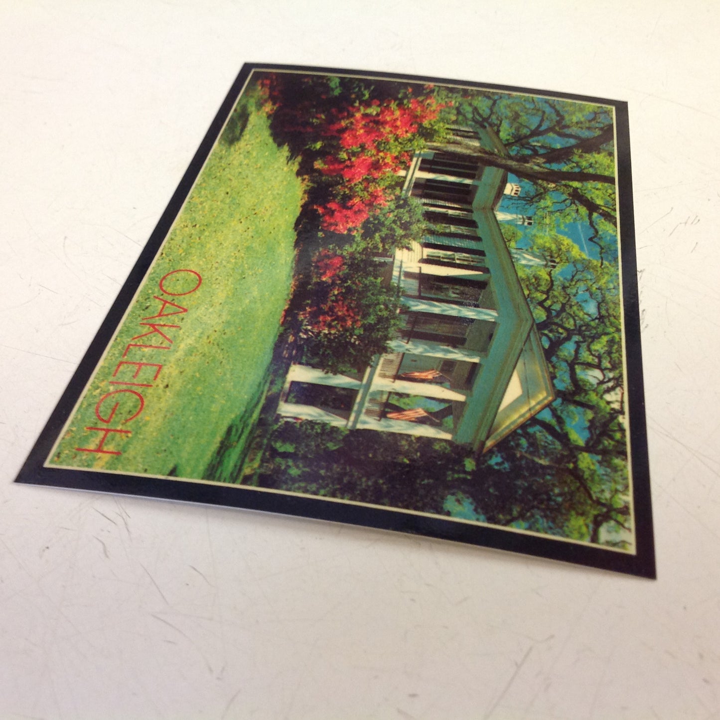 Vintage Dexter Supreme Color Postcard Oakleigh Home Mobile Alabama