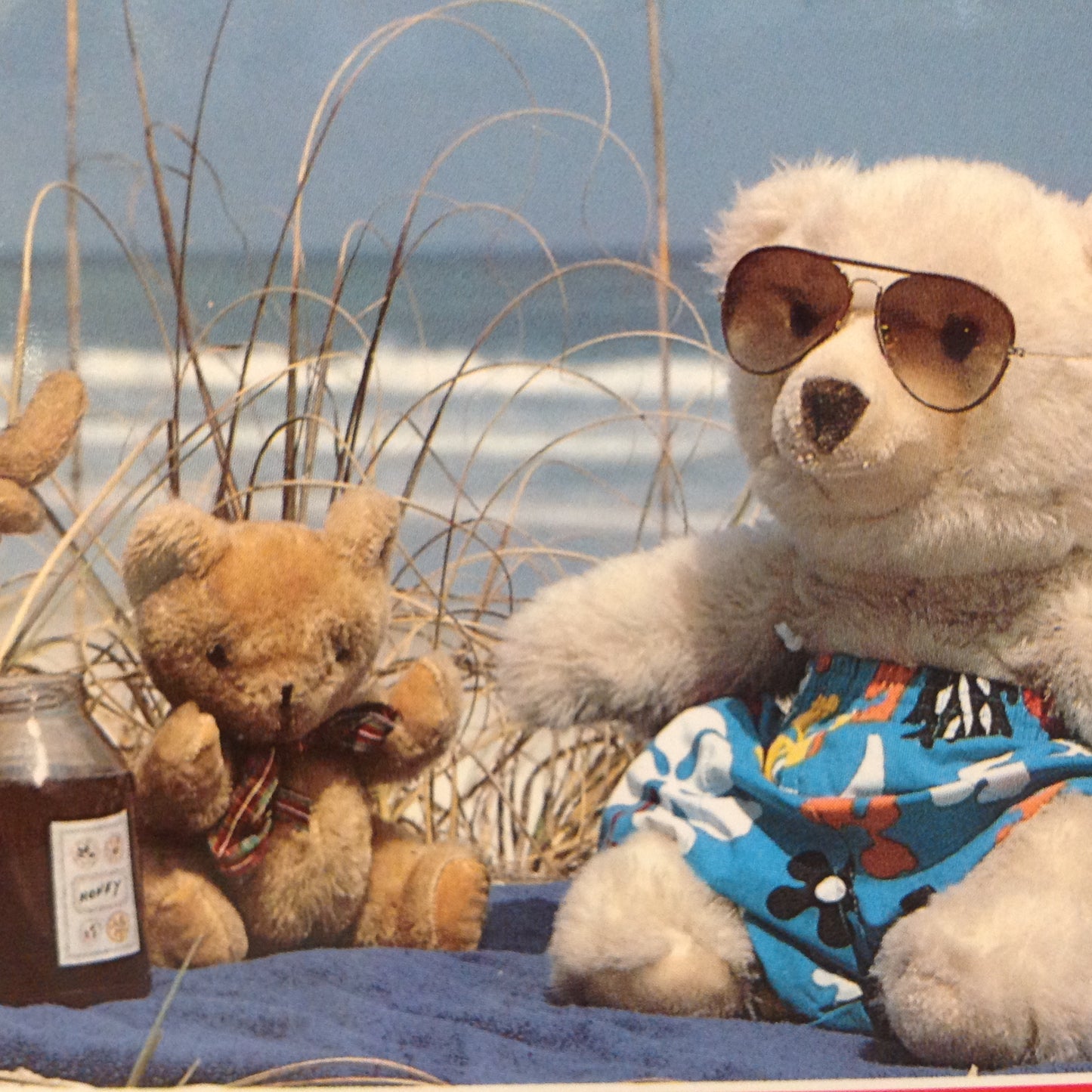 Vintage Color Postcard Gulf Shores Alabama is Great But We Miss You Teddy Bear Beach Party