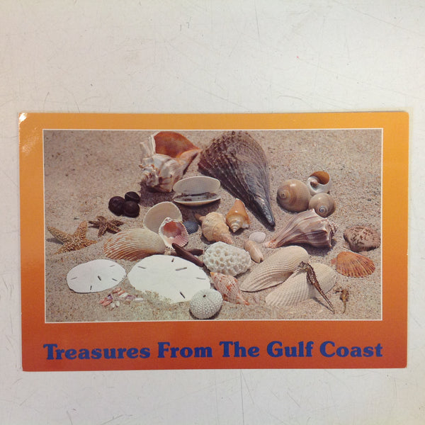 Vintage Color Postcard Treasures From the Gulf Coast Beach Shells Guide