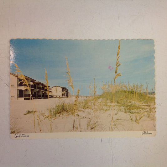 Vintage 1978 Color Scalloped Edge Postcard Beach Gulf Shores Alabama