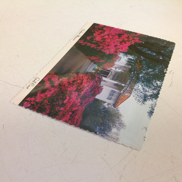 Vintage Color Scalloped Edge Postcard Southern Mansion Gulf Coast Azalea Lined
