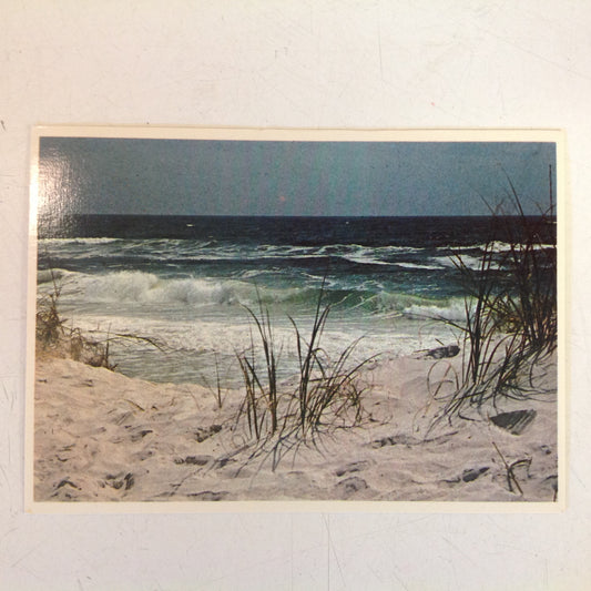 Vintage Plastichrome Color Postcard Many Moods of the Sea Gulf Shores Alabama