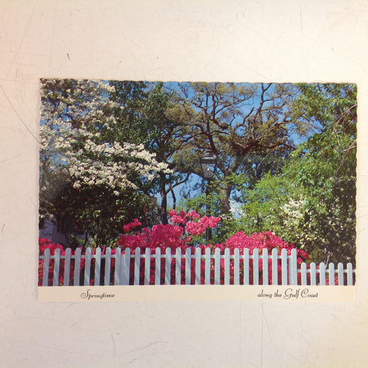 Vintage Scalloped Edged Color Postcard Springtime Along the Gulf Coast Azalea Dogwood Picket Fence Alabama