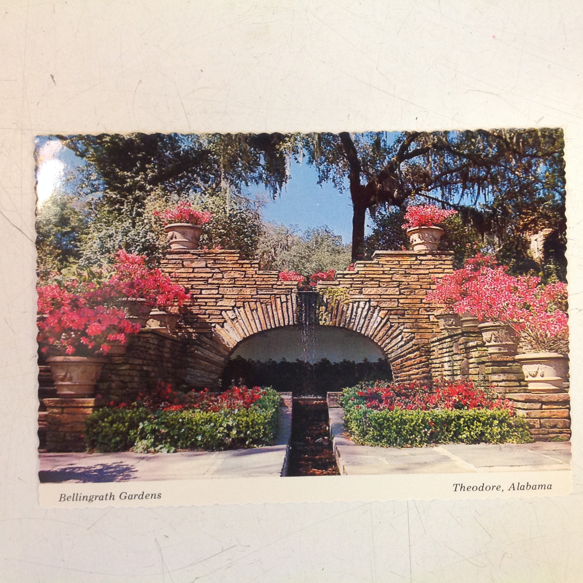 Vintage Scalloped Edged Color Postcard Bellingrath Home and Gardens The Grotto Isles-aux-oies Theodore Alabama