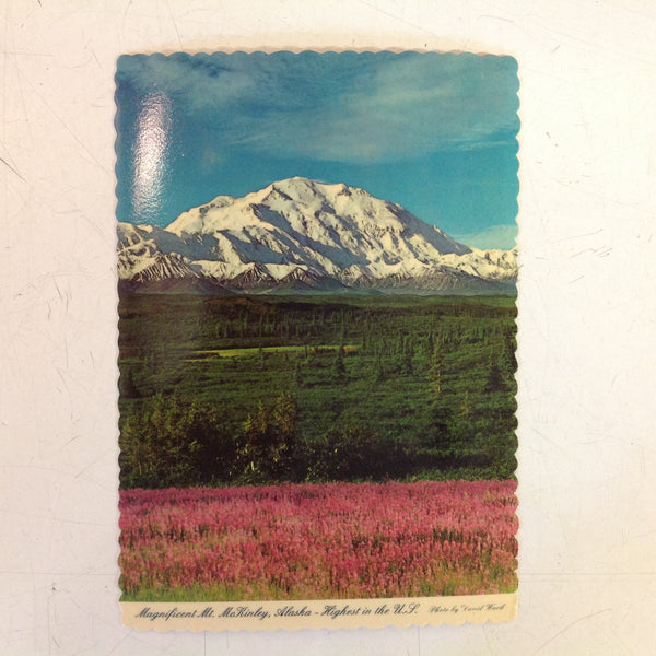Vintage Scalloped Edged Color Postcard Magnificent Mount McKinley Alaska Highest in the US