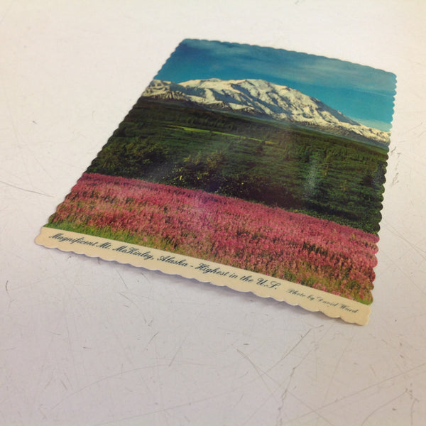 Vintage Scalloped Edged Color Postcard Magnificent Mount McKinley Alaska Highest in the US