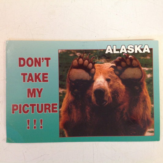 Vintage 1998 Arctic Circle Enterprises Grizzly Bear Don't Take My Picture Anchorage Alaska