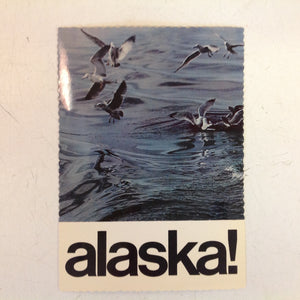 Vintage Andre Print Color Postcard Sea Birds Reeling Turning Dipping Inland Waters Alaska