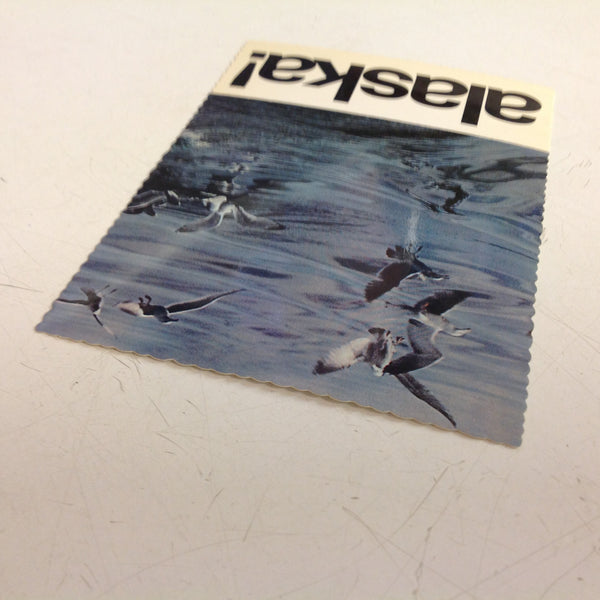 Vintage Andre Print Color Postcard Sea Birds Reeling Turning Dipping Inland Waters Alaska