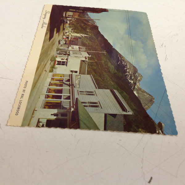 Vintage Alaska Joe Original Scalloped Edge Color Postcard Skagway Alaska