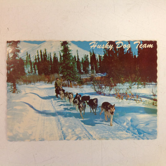 Vintage Continental Card Color Scalloped Edge Postcard Husky Dog Team Anchorage Alaska