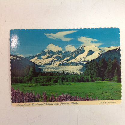 Vintage Arctic Circle Enterprises Scalloped Edged Color Postcard Magnificent Mendenhall Glacier Mac Miller Photo North of Juneau Alaska