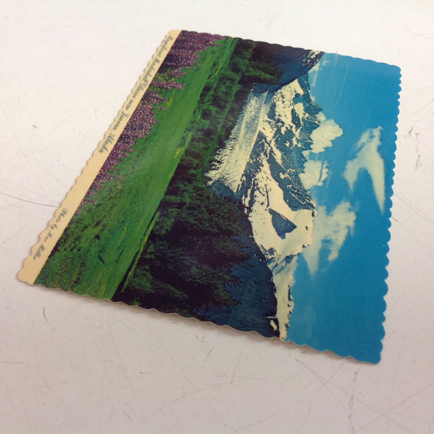 Vintage Arctic Circle Enterprises Scalloped Edged Color Postcard Magnificent Mendenhall Glacier Mac Miller Photo North of Juneau Alaska