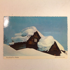Vintage Alaska Joe Original Scalloped Edged Color Postcard Richard Conger Photo Snowbound in Alaska