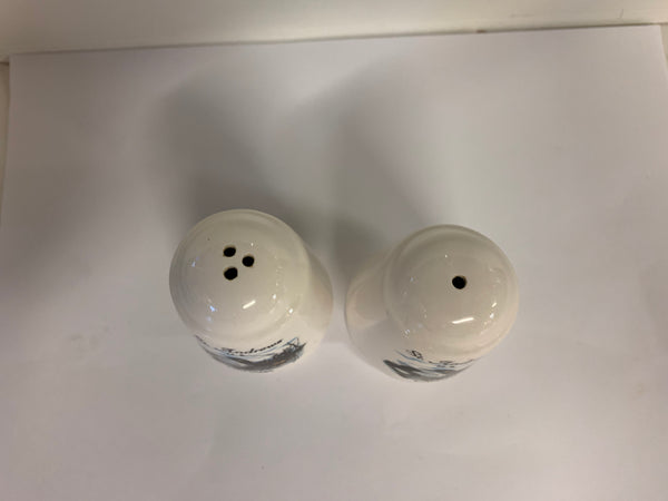Vintage Canada St Andrews NB Souvenir Ceramic Salt & Pepper Shakers Travel Trip