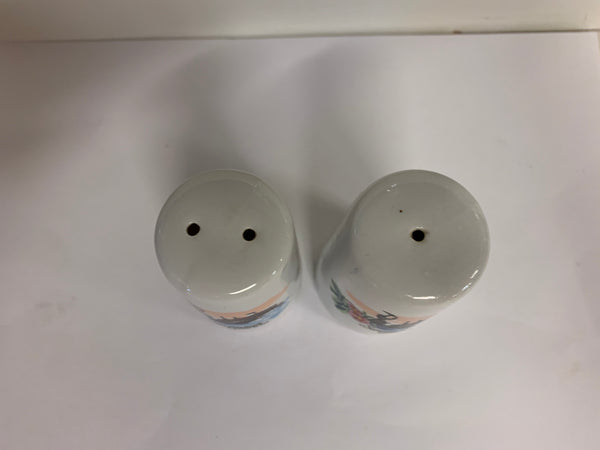 Vintage Souvenir Savannah Georgia Salt and Pepper Set with Steamboat Scene