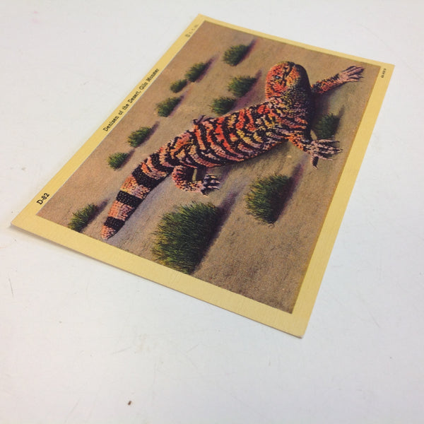 Vintage Curteich Color Postcard Denizen of the Desert Gila Monster Tucson Arizona