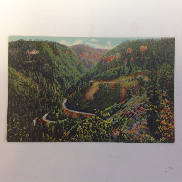 Vintage Curteich Color Postcard Oak Creek Canyon Arizona