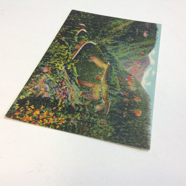 Vintage Curteich Color Postcard Oak Creek Canyon Arizona