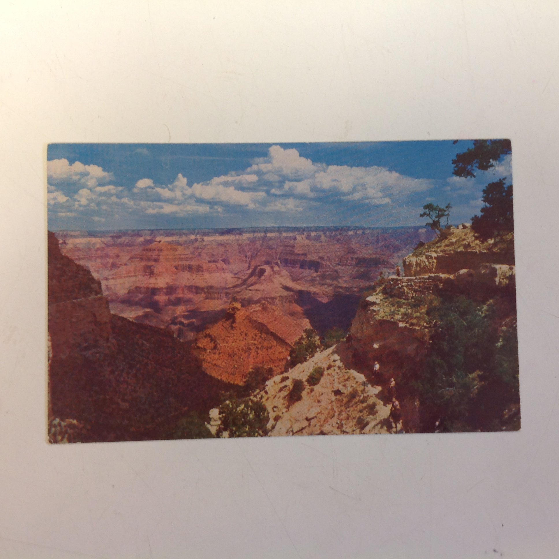 Vintage Fred Harvey Souvenir Color Photo Postcard Bright Angel Trail Grand Canyon National Park Arizona