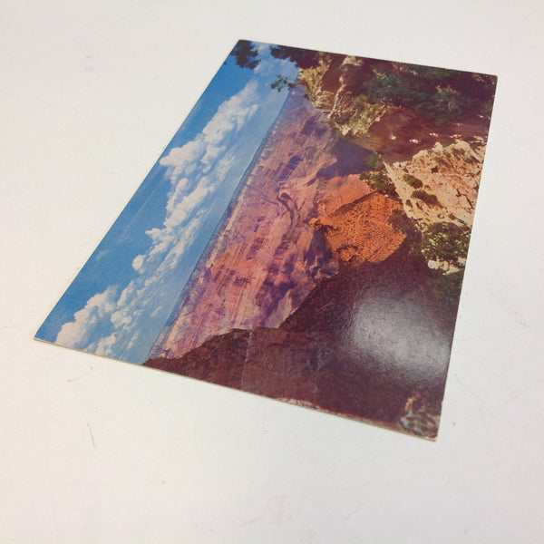 Vintage Fred Harvey Souvenir Color Photo Postcard Bright Angel Trail Grand Canyon National Park Arizona