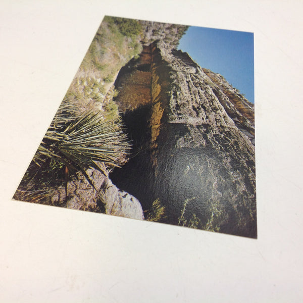 Vintage Color Postcard Ruins on Island Trail Walnut Canyon National Monument Arizona