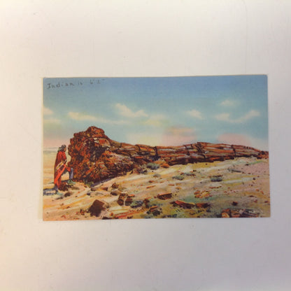 Vintage Curteich Color Postcard Indian on the Petrified Forest Arizona