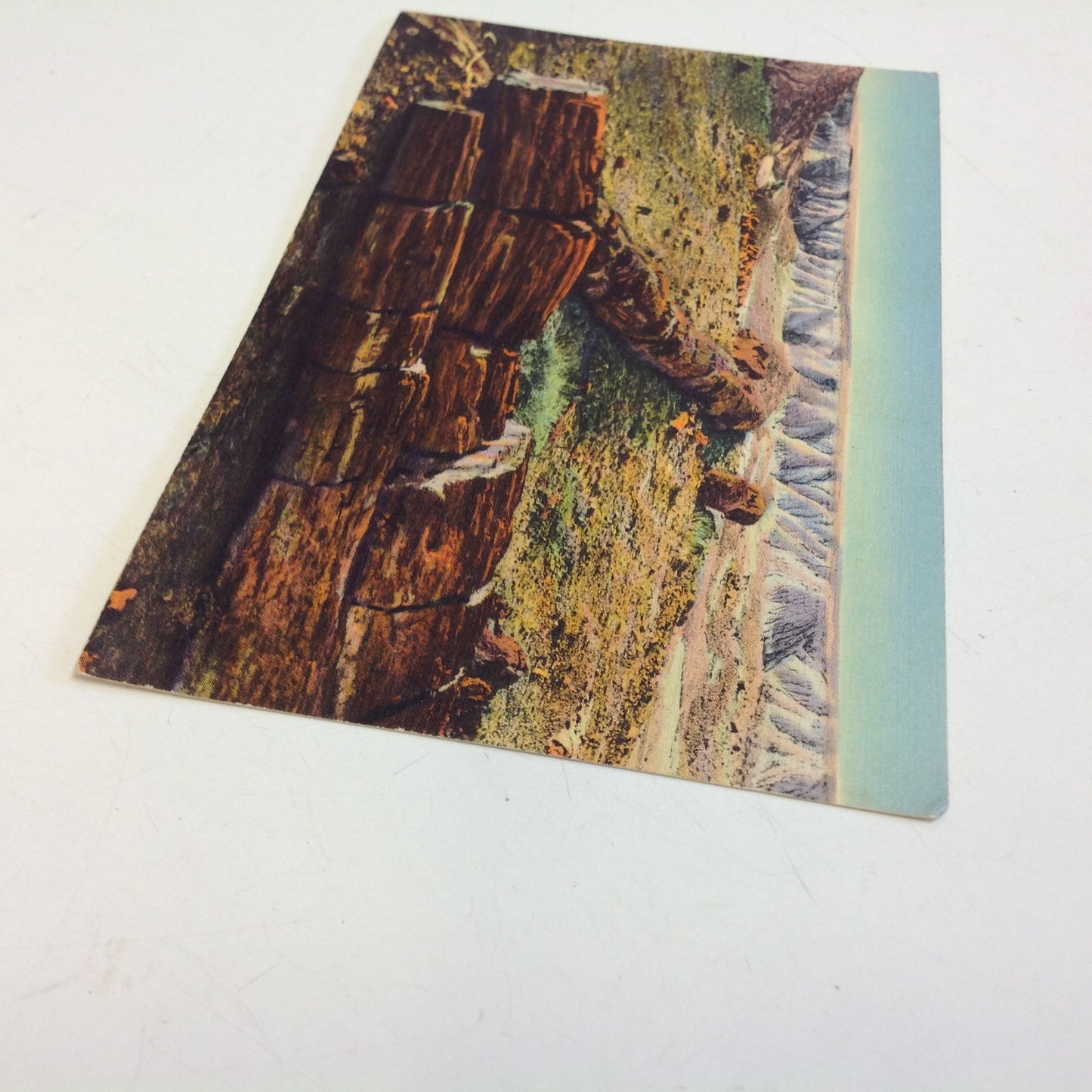 Vintage Curteich Color Postcard The Twin Sisters in Second Forest Petrified Forest Arizona