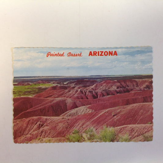 Vintage 1979 Petley Souvenir Scalloped Edge Color Postcard D Candelaria Photo Vista Painted Desert Northern Arizona