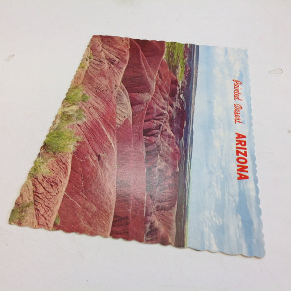 Vintage 1979 Petley Souvenir Scalloped Edge Color Postcard D Candelaria Photo Vista Painted Desert Northern Arizona