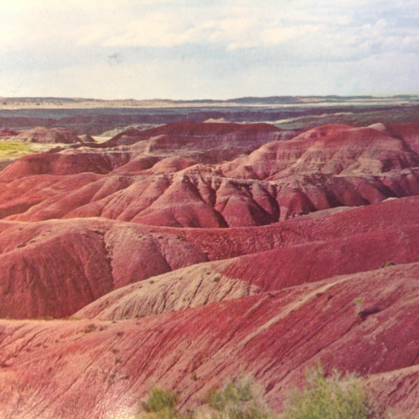 Vintage 1979 Petley Souvenir Scalloped Edge Color Postcard D Candelaria Photo Vista Painted Desert Northern Arizona