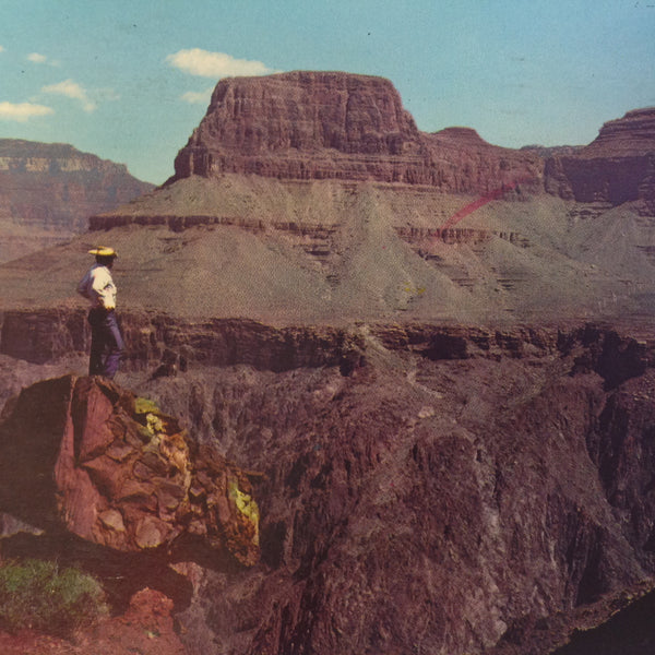 Vintage 1968 Fred Harvey Souvenir Postcard Kaibab Tonto Plateau Grand Canyon