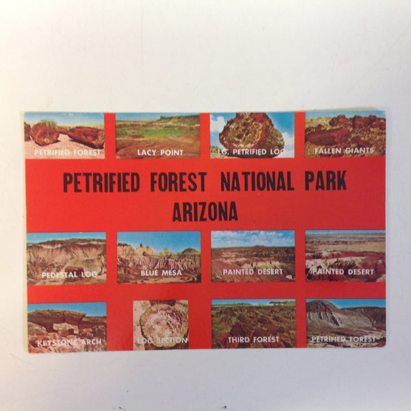 Vintage International Southwest Post Souvenir Color Postcard Points of Interest Petrified Forest National Park Arizona
