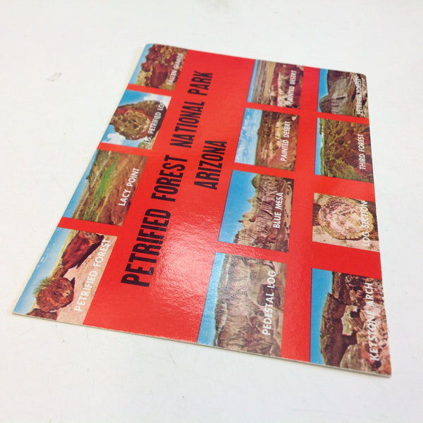 Vintage International Southwest Post Souvenir Color Postcard Points of Interest Petrified Forest National Park Arizona