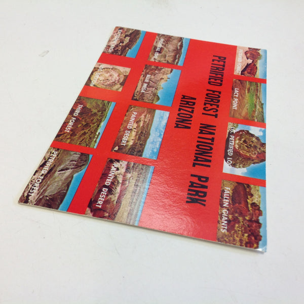 Vintage International Southwest Post Souvenir Color Postcard Points of Interest Petrified Forest National Park Arizona