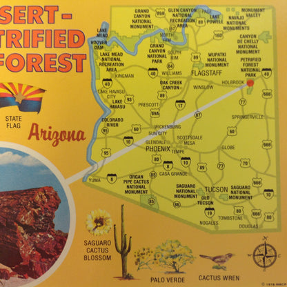 Vintage 1978 Petley Mini Print Souvenir Color Postcard State Map Petrified Logs Petrified Forest Painted Desert Bordering US 66 Arizona