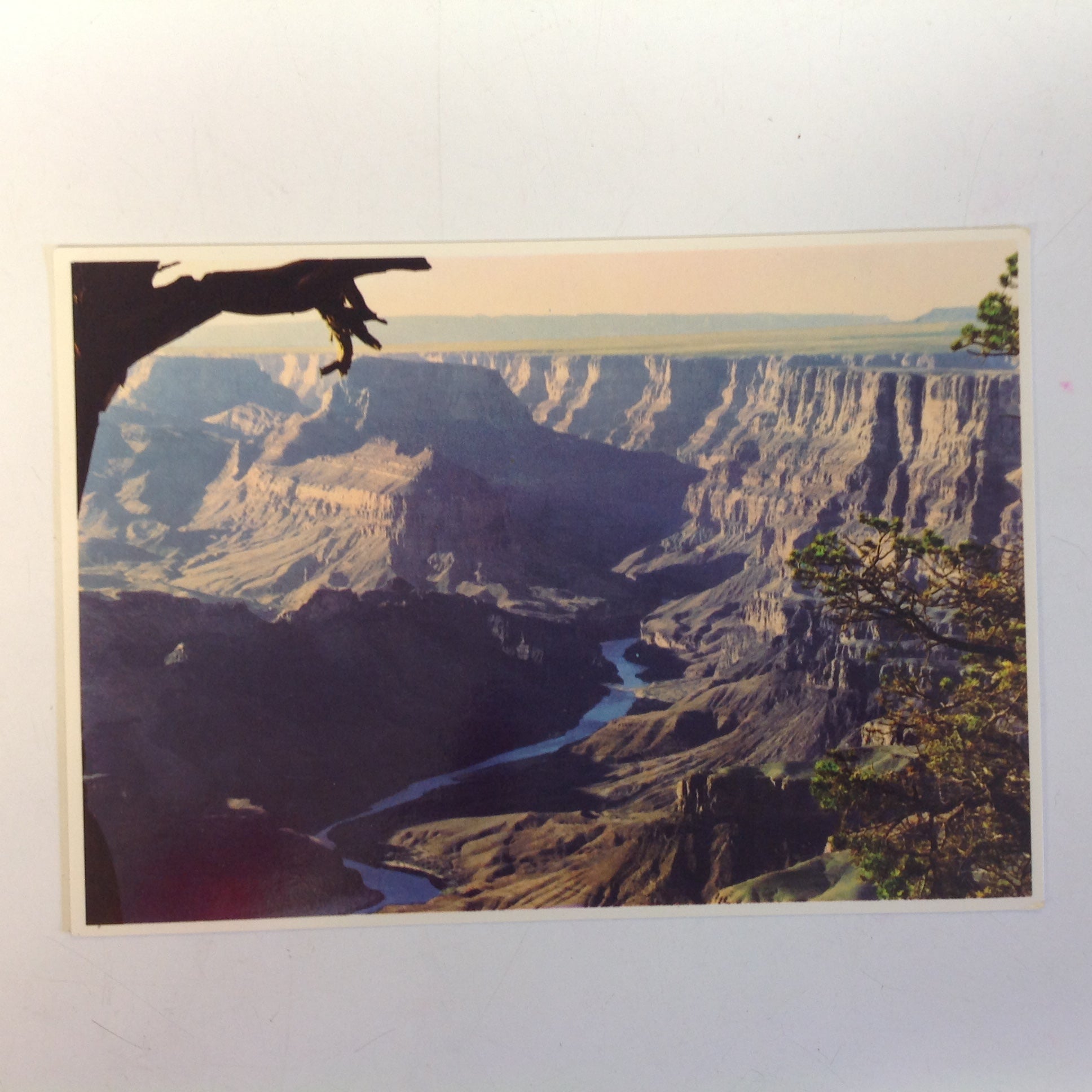 Vintage Petley Studios Souvenir Color Postcard Aerial View Colorado River Grand Canyon National Park Arizona