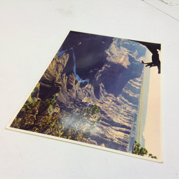 Vintage Petley Studios Souvenir Color Postcard Aerial View Colorado River Grand Canyon National Park Arizona