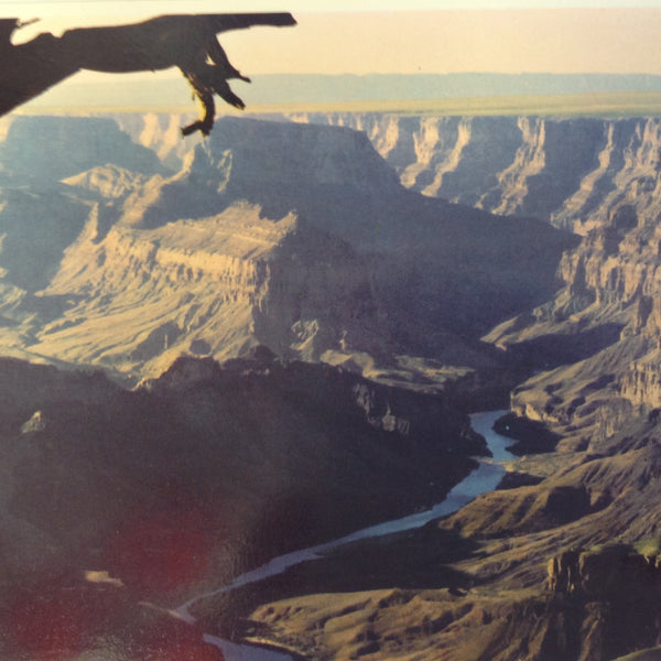 Vintage Petley Studios Souvenir Color Postcard Aerial View Colorado River Grand Canyon National Park Arizona