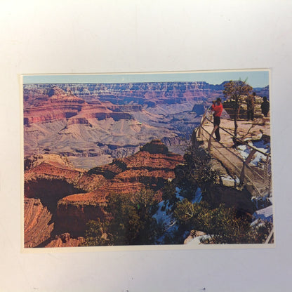 Vintage Petley Studios Souvenir Plastichrome Color Postcard Visitor at Viewpoint in Grand Canyon National Park Arizona