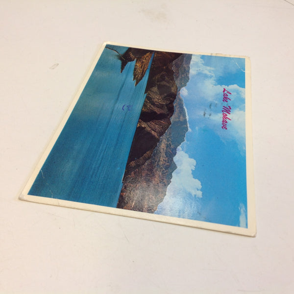 Vintage 1981 Petley Studios Souvenir Color Postcard Lake Mohave at Davis Dam Arizona