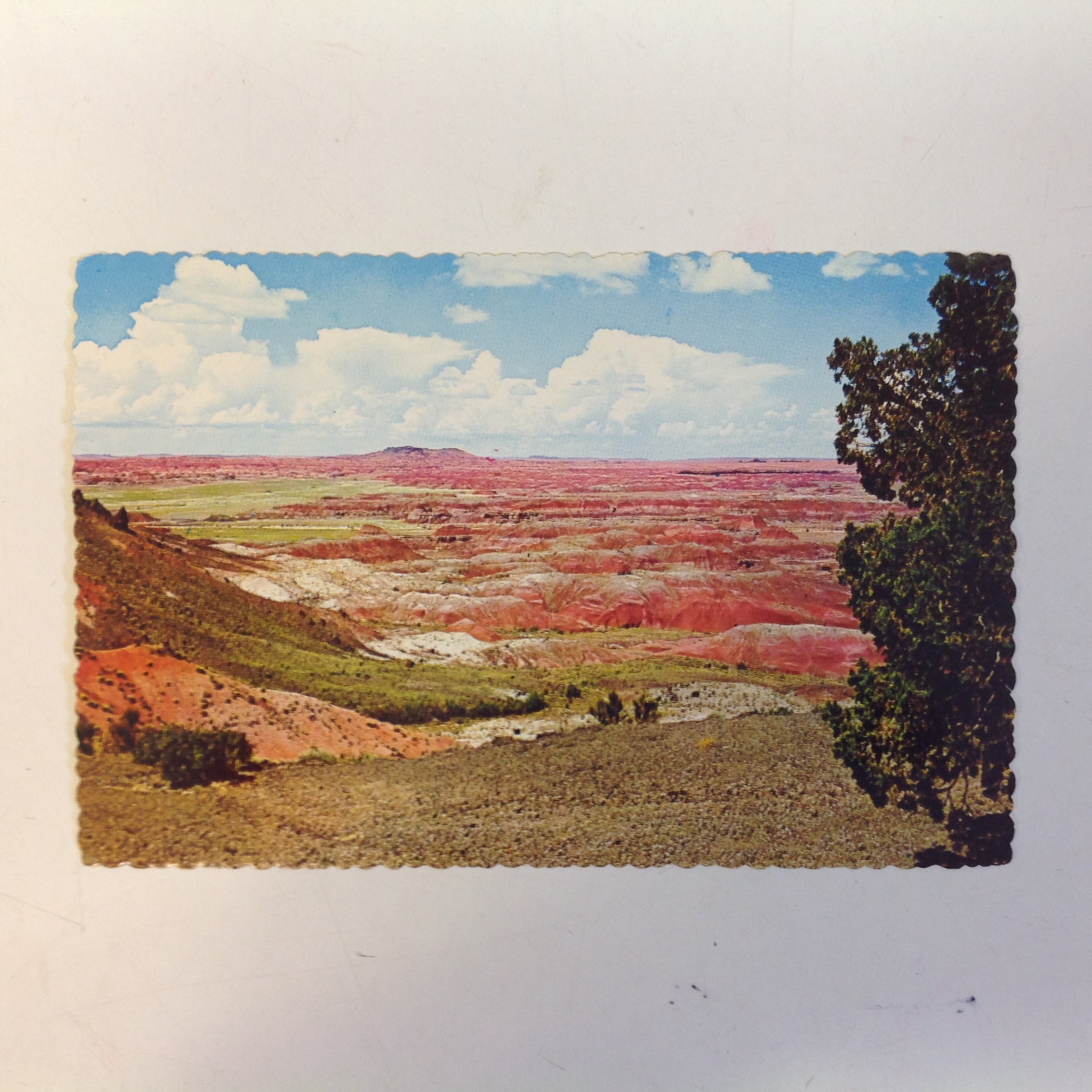 Vintage Petley Studios Souvenir Scalloped Edge Plastichrome Color Postcard Colorful Painted Desert Little Colorado River Grand Canyon National Park Holbrook Arizona
