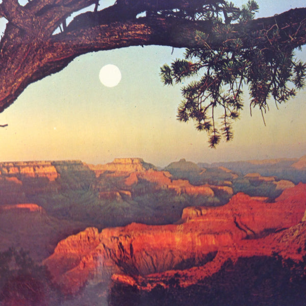 Vintage Petley Studios Souvenir Plastichrome Color Postcard Evening Sunset Panorama Framed by Tree Grand Canyon National Park Arizona