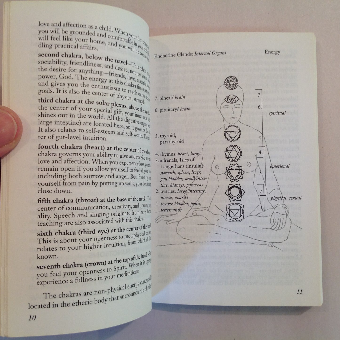 Vintage 1999 Crossing Press Pocket Guide to Chakras Joy Gardner-Gordon