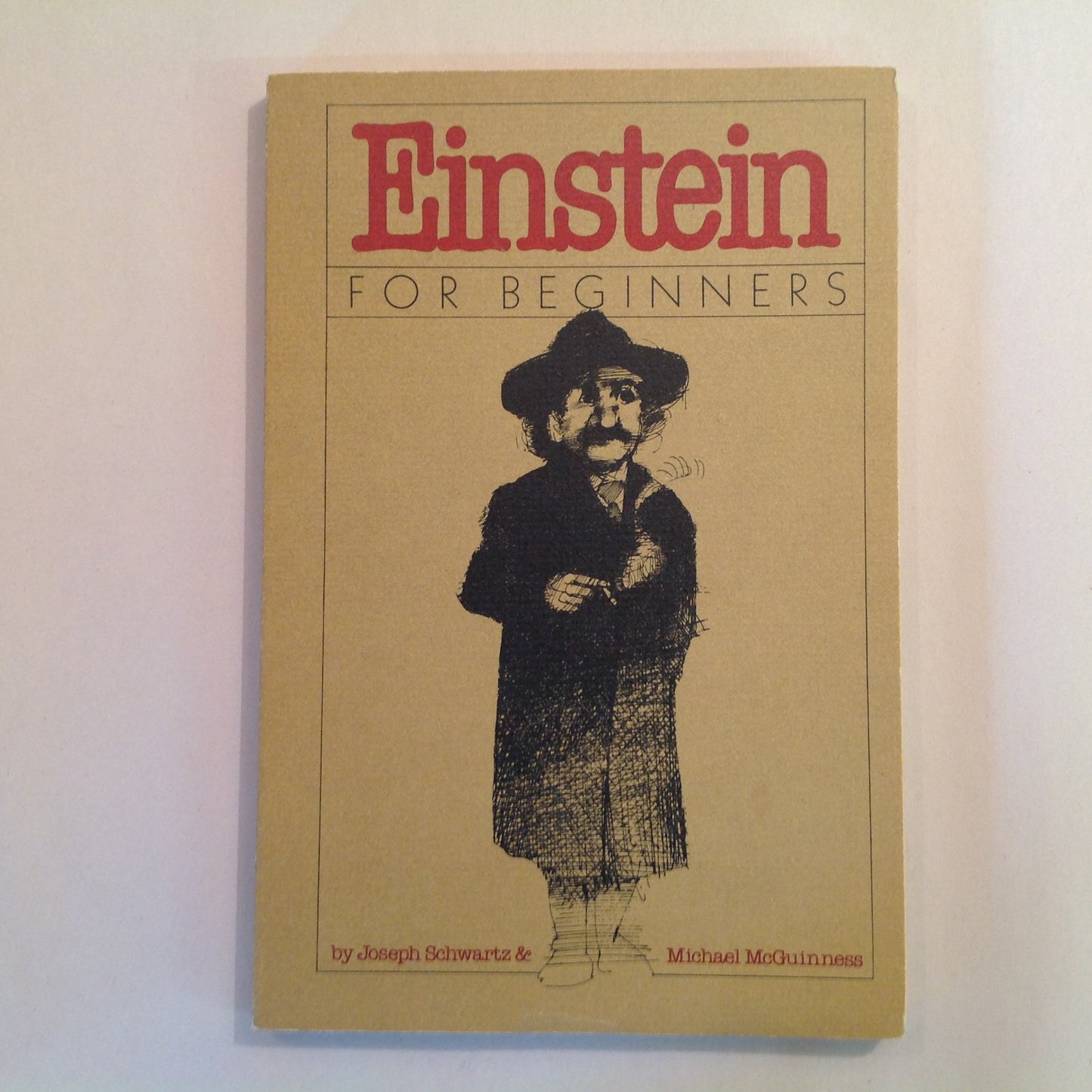 Vintage 1979 Trade Paperback Einstein For Beginners Joseph Schwartz Michael McGuinness First American Edition