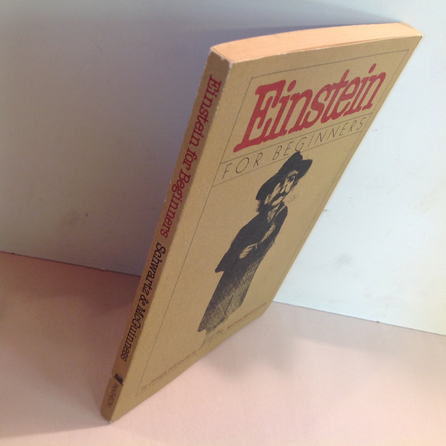 Vintage 1979 Trade Paperback Einstein For Beginners Joseph Schwartz Michael McGuinness First American Edition