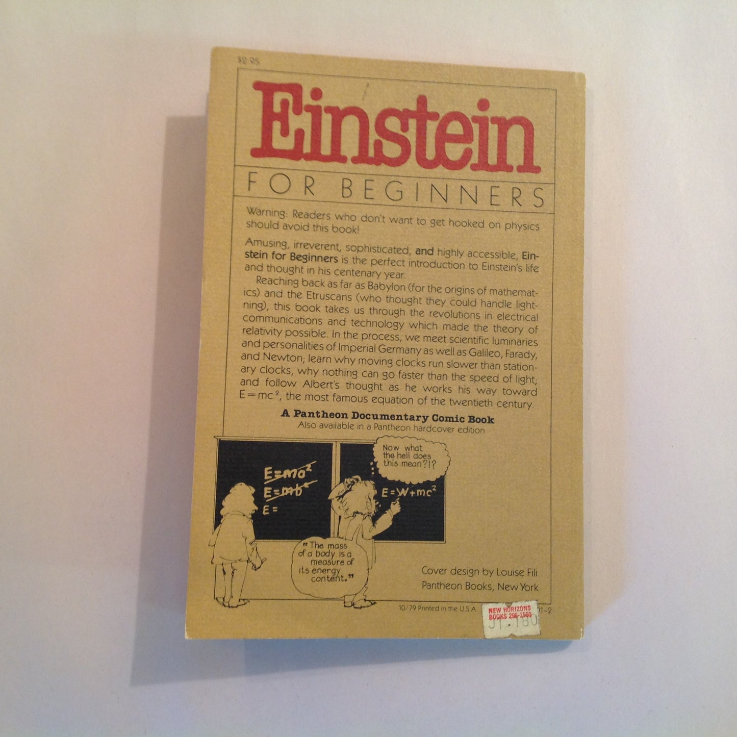 Vintage 1979 Trade Paperback Einstein For Beginners Joseph Schwartz Michael McGuinness First American Edition