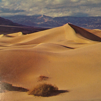 Vintage Plastichrome Color Postcard Death Valley National Monument Sand Dunes California