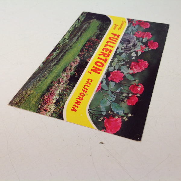 Vintage Dexter Press Repro Souvenir Color Postcard Primrose Creek Banks Greetings From Fullerton California