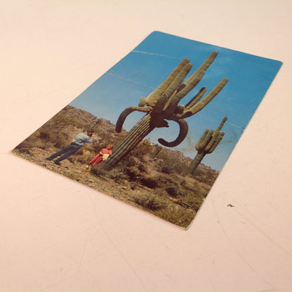 Vintage 1961 Souvenir Color Postcard Jim Sexton Photo Desert Giants Children at Base of Giant Saguaro Cactus Arizona